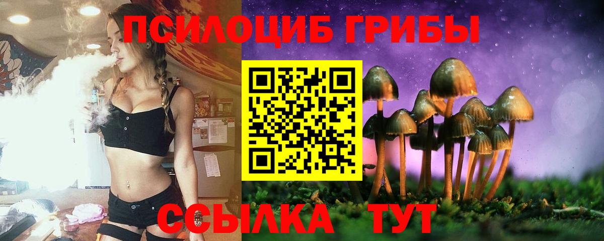 Шелехов  Псилоцибиновые грибы мухоморы  Вход с VPN 