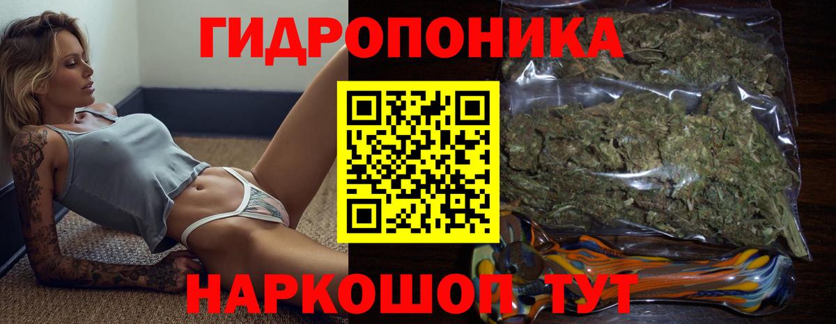 Каннабис индика Шелехов